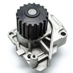 Pompa Wody Lombardini Ligier Microcar JDM Chatenet