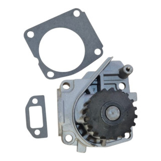 Pompa Wody Lombardini Ligier Microcar Chatenet JDM