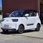BAW Pony 163