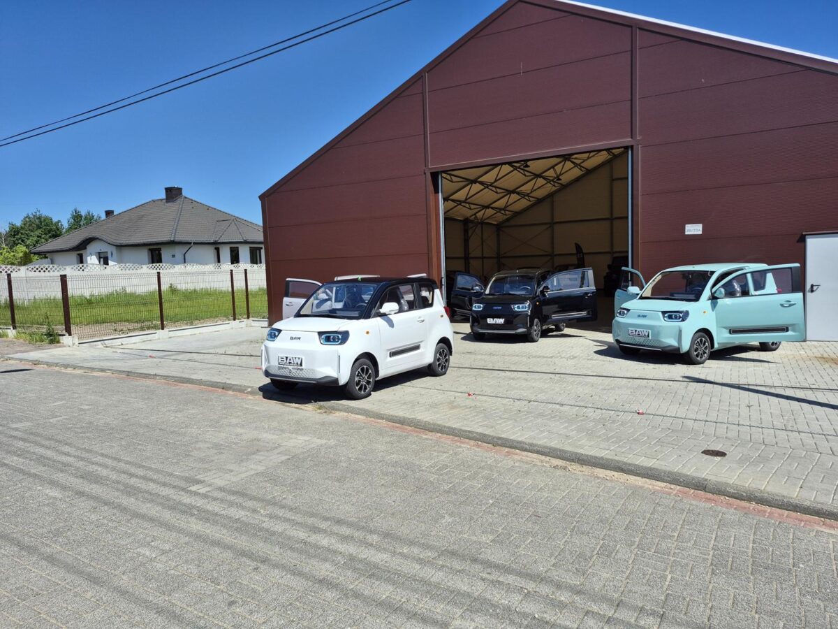 BAW Pony 163 - obrazek 6